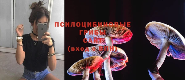 PSILOCYBIN Алзамай