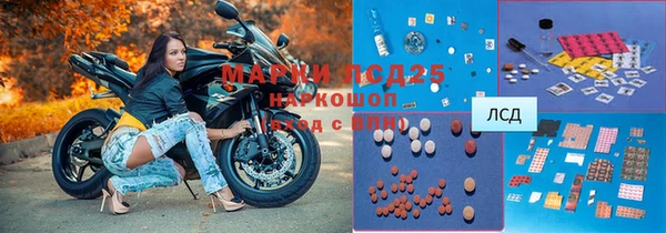 PSILOCYBIN Алзамай
