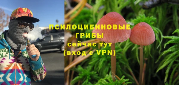 герыч Алексин